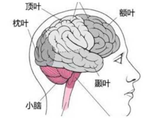试管移植hcg对照表？试管如何促进hcg翻倍小妙招？ 哪里有私人招代孕