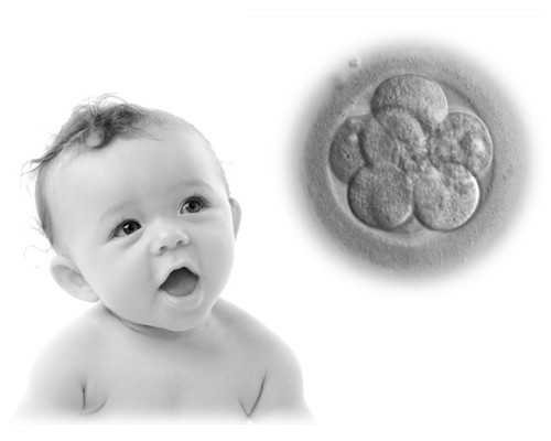 做一次试管婴儿大概要花的费用有哪些？ 最有名的代孕公司