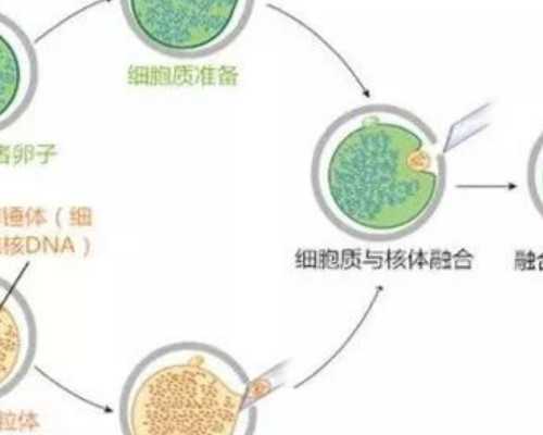 在上海做试管婴儿医院人工取精方式有哪些？ 代孕哪家中心最好