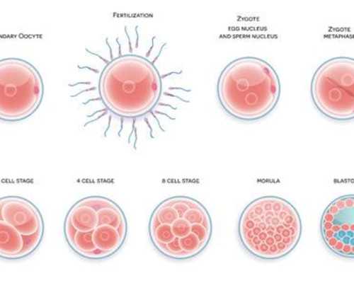 泰国正规试管婴儿医院排名已公布，附排名前五医院比较表 怎么找试管助孕