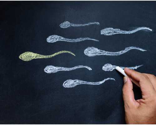 白带多恶心是什么原因（白带增多可以同房吗） 代孕中心供卵