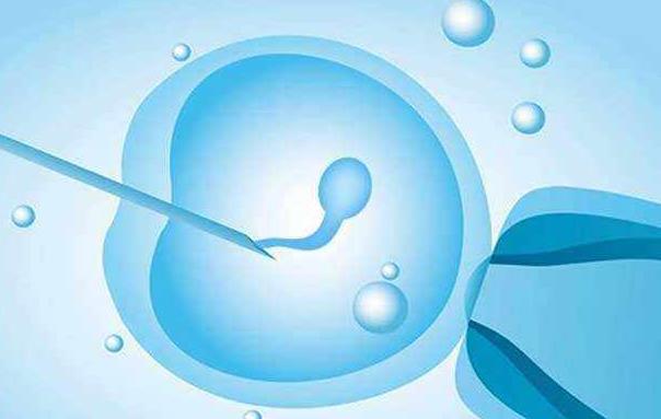 泰国做试管囊胚培养与移植的优势您了解吗